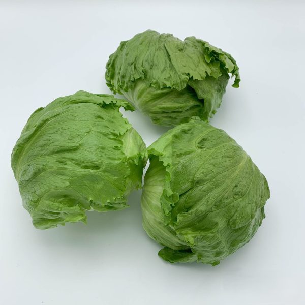 ijsbergsla