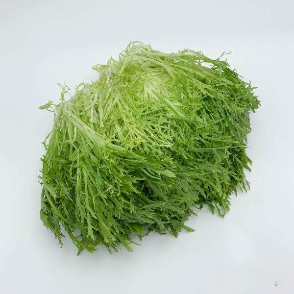 krulandijvie - frisé kist