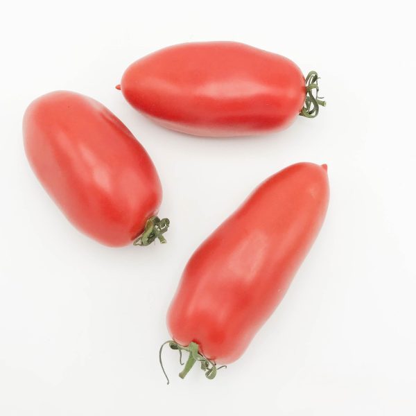 tomaten San Marzano kist