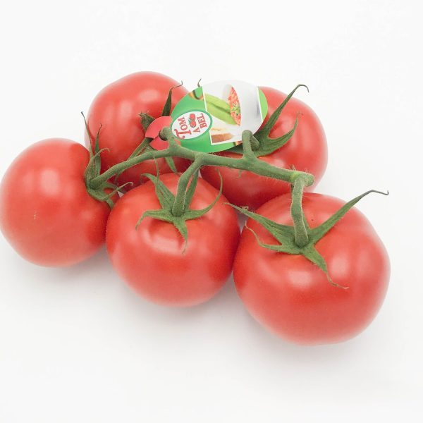 trostomaten Tomabel