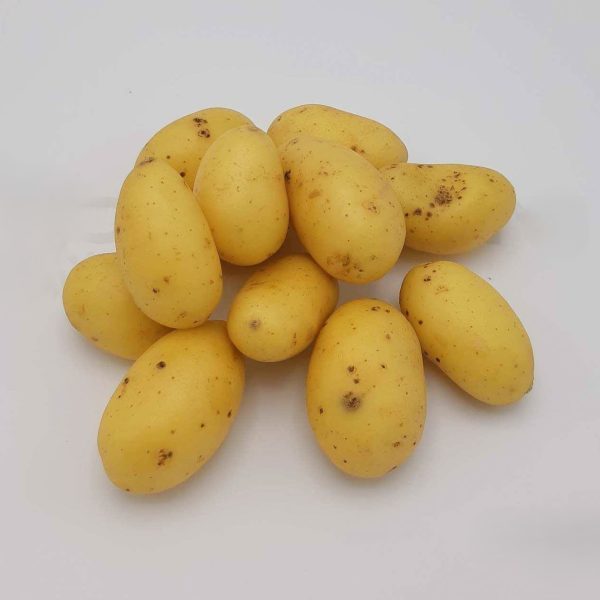 aardappel grenaille krielaardappel