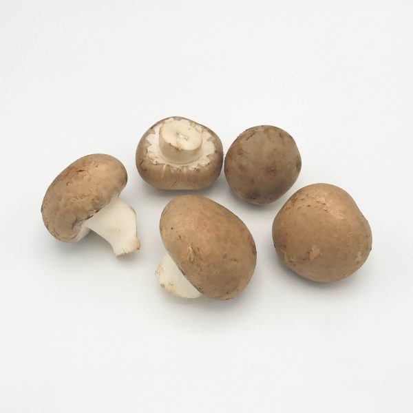 champignon bruin vrac
