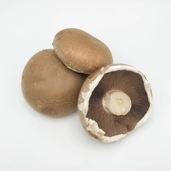 portobello kist