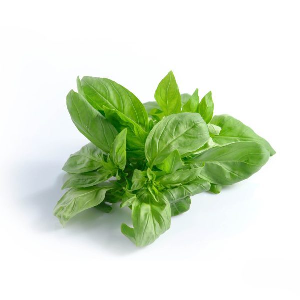 basilicum 200 gr