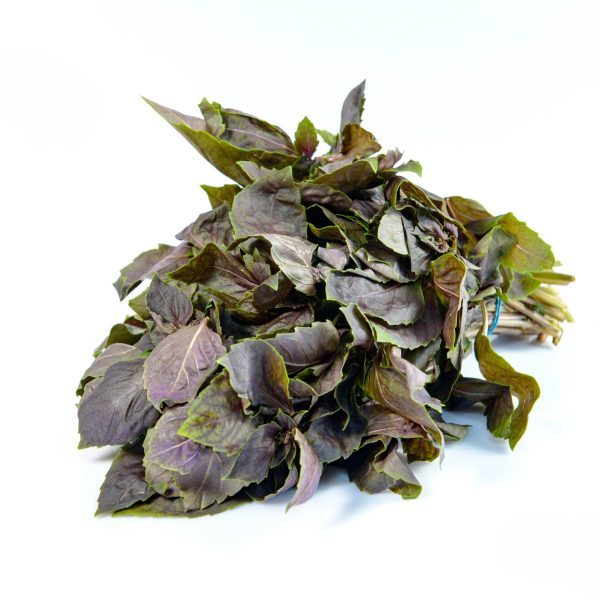 basilicum rood 200 gr