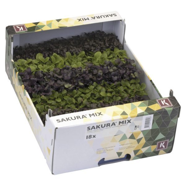 sakura mix per 18 potjes
