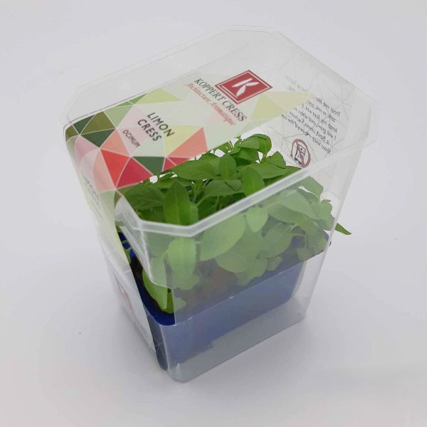 limoen cress per 12 potjes