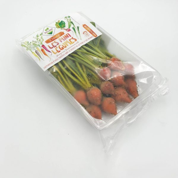 chioggia mini 400 gr