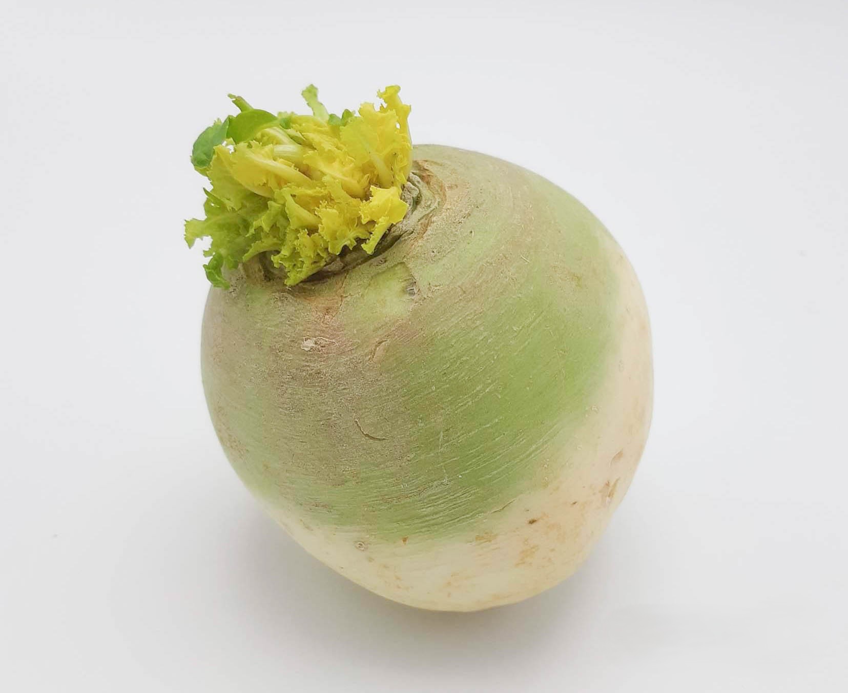 radijs green meat