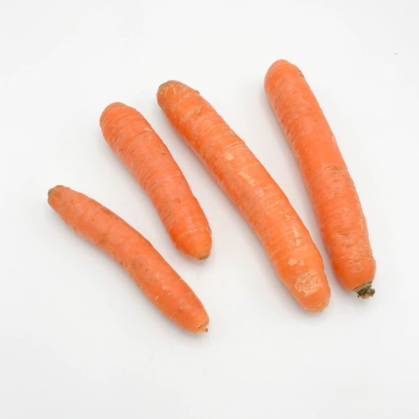 wortelen dik kist