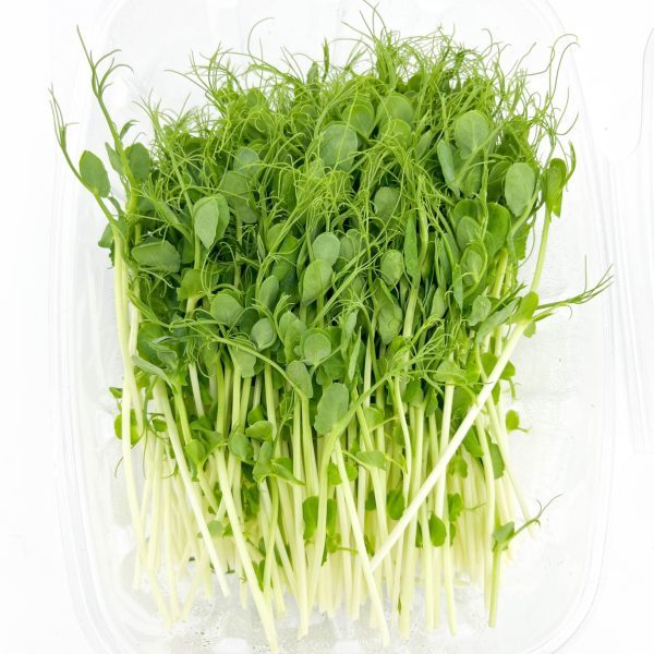 erwtscheuten groen - greenpeas 100 gr
