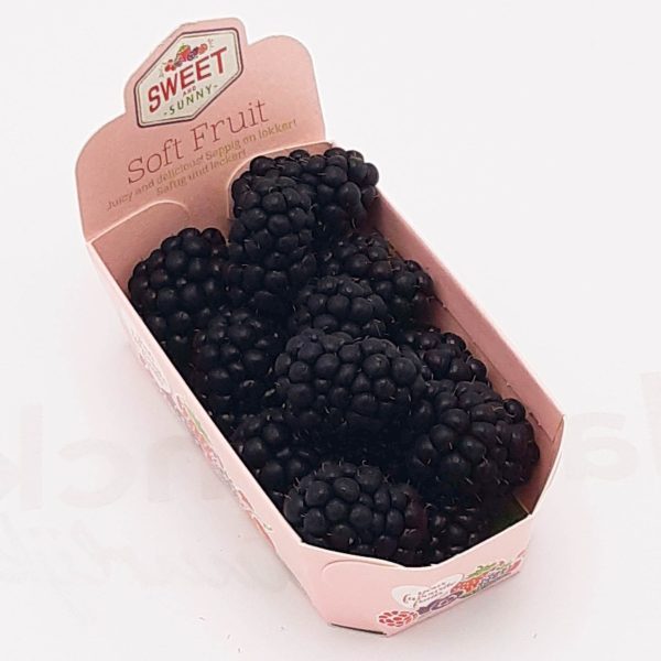 zwarte braam 125 gr kist