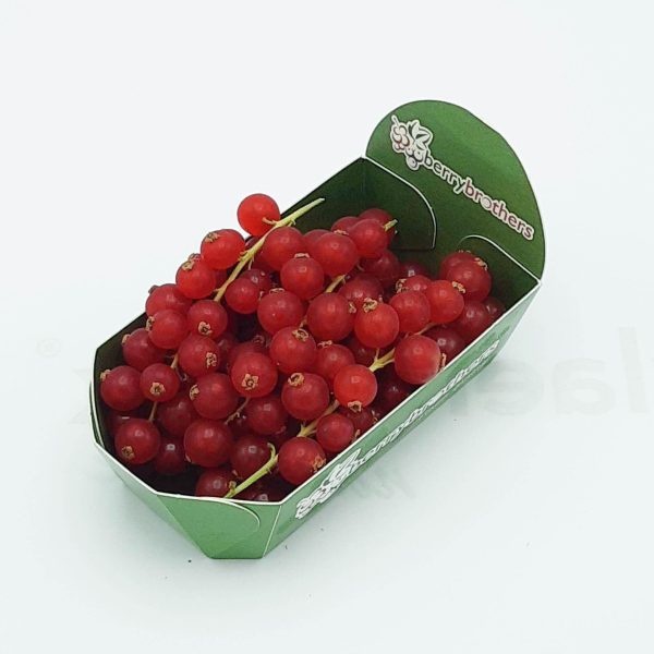 rode bes 125 gr tray 12x