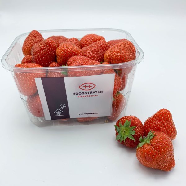 aardbeien 500 gr