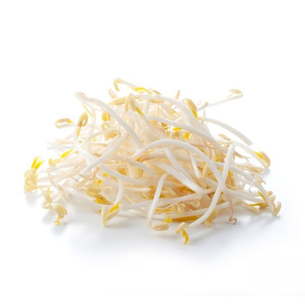 sojascheuten - soya - taugé 1kg