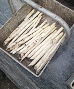 asperges van de boer