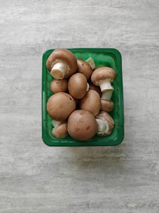 BRUINE KASTANJE CHAMPIGNON