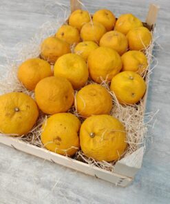 YUZU 1KG