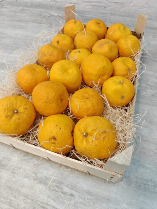 YUZU 1KG