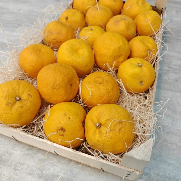 YUZU