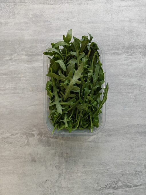 RUCOLA