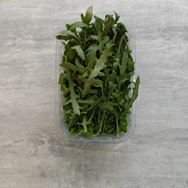 RUCOLA
