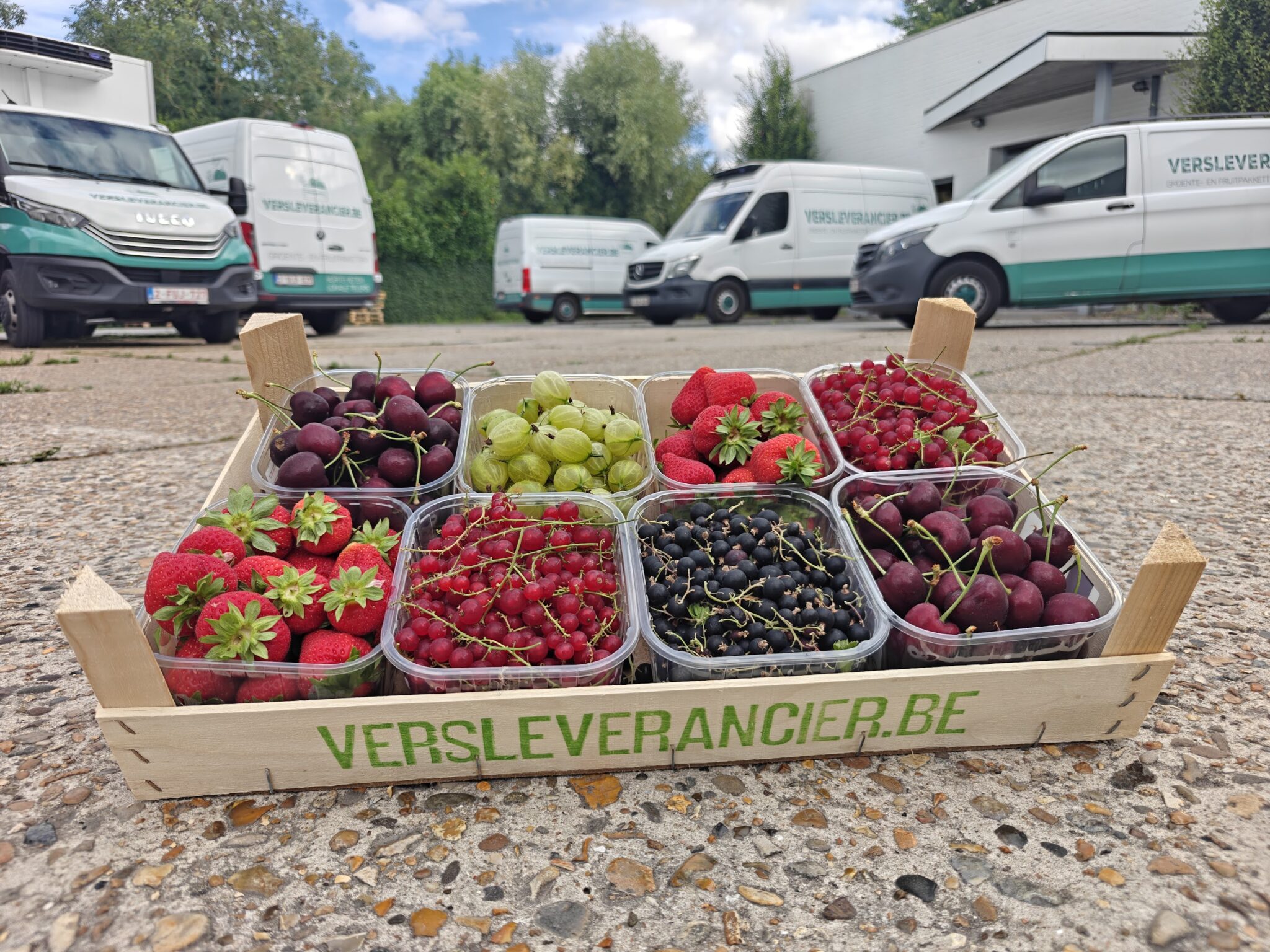 GROOTHANDEL FRUIT - Versleverancier