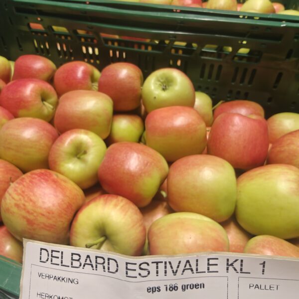 DELBARE KIST (ZOMERAPPEL)