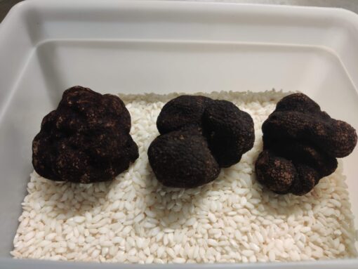 ZWARTE TRUFFEL