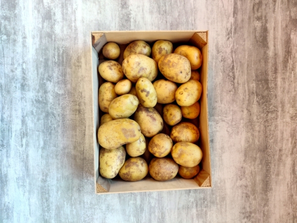 aardappel kopen
