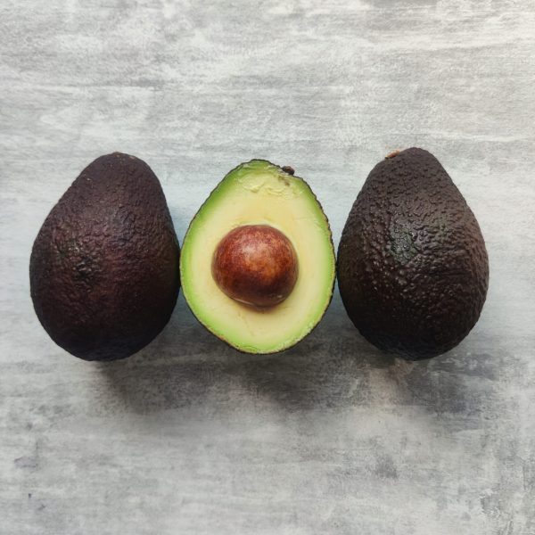 AVOCADO GROOT