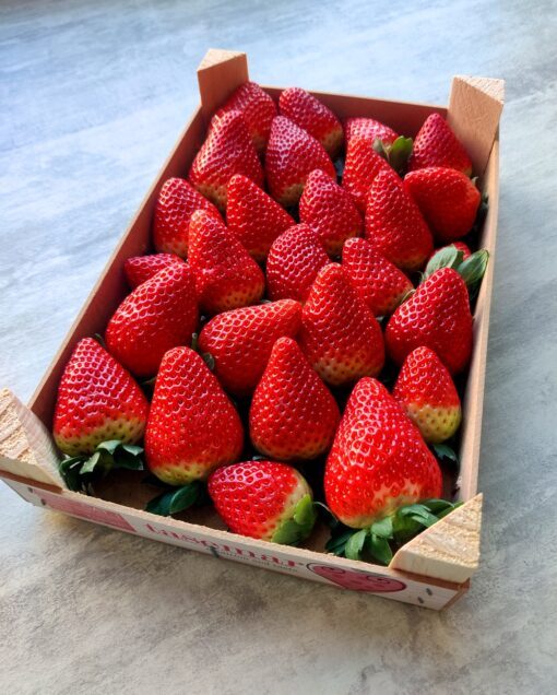 1kg AARDBEI PLATEAU