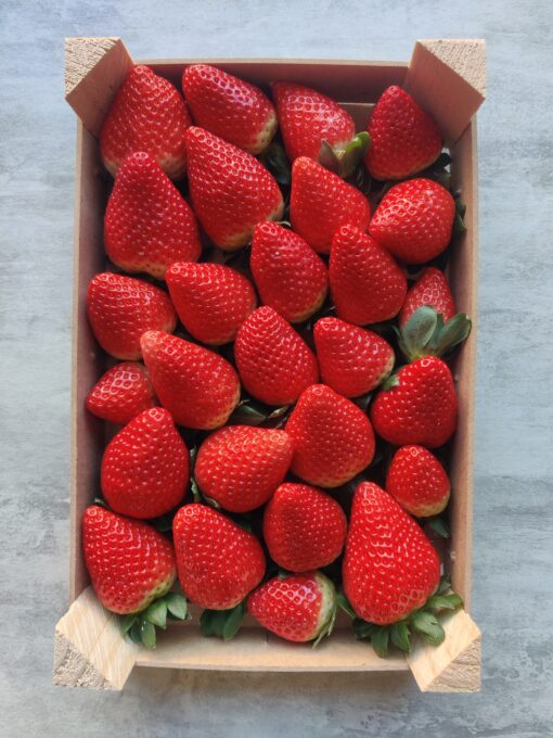 1kg AARDBEI PLATEAU - Afbeelding 2