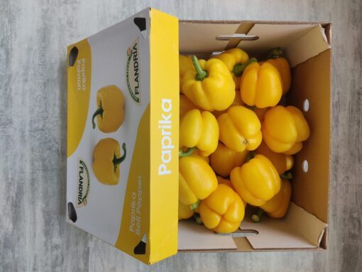 PAPRIKA GEEL KIST