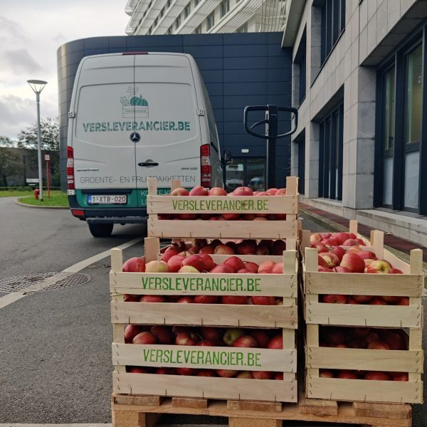 appel jonagold kist