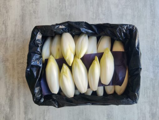 WITLOOF KIST 5KG