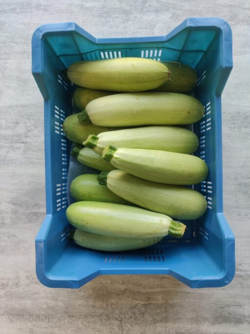 COURGETTE WIT KIST