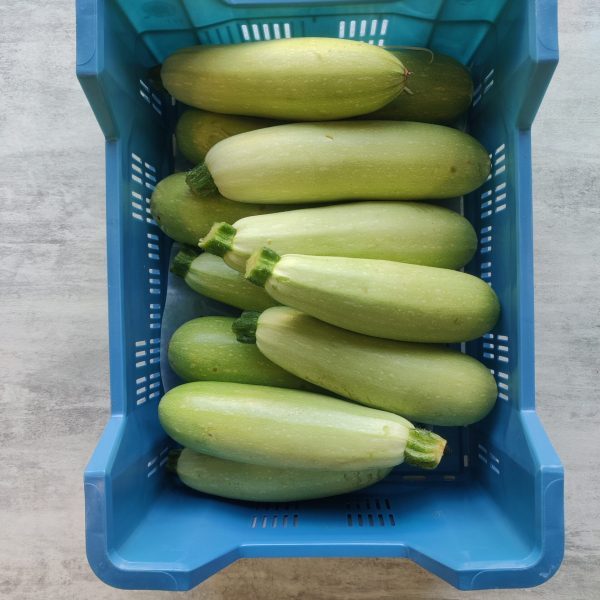 COURGETTE WIT KIST