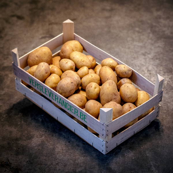 aardappelen kopen