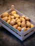 aardappelen kopen