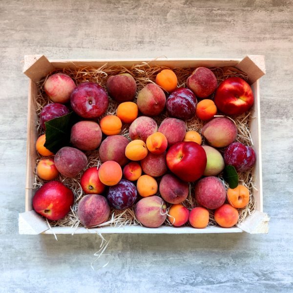 steenfruit kist