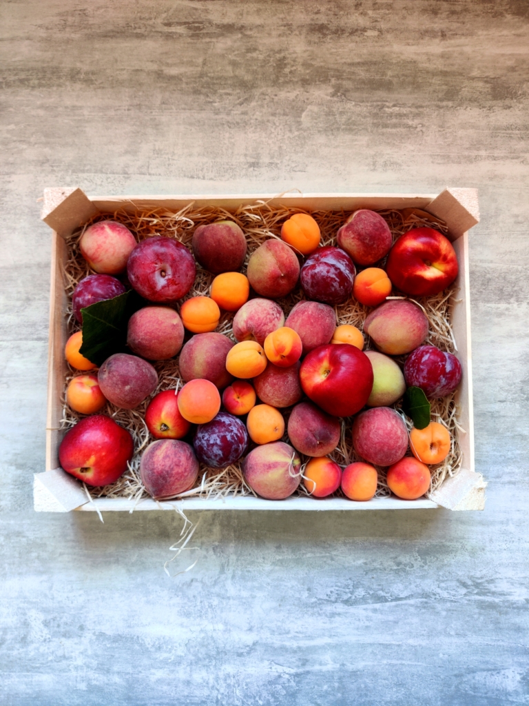 steenfruit kist